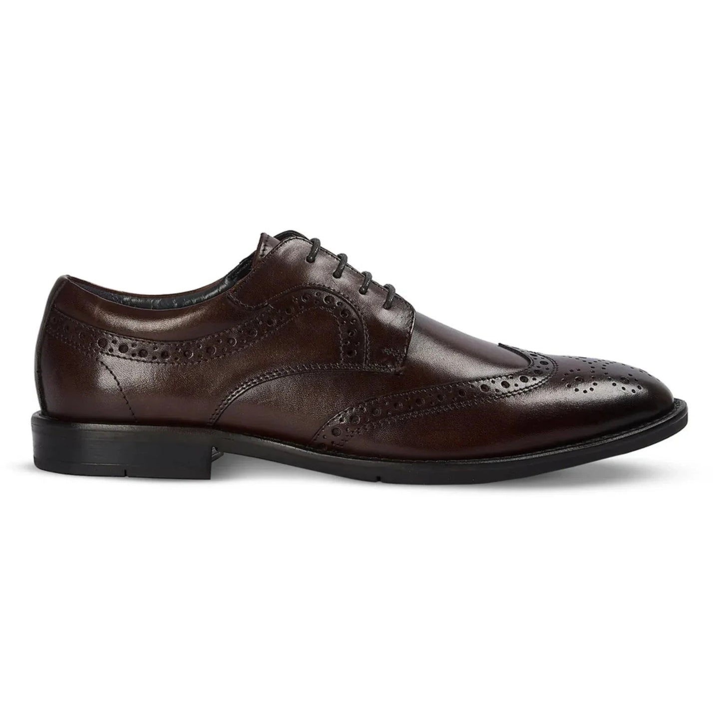 Cambridge - Scarpe Derby brogue da uomo color marrone scuro con punta a coda di rondine