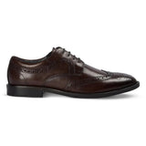 Cambridge - Scarpe Derby brogue da uomo color marrone scuro con punta a coda di rondine