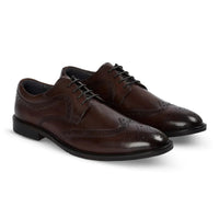 Cambridge - Scarpe Derby brogue da uomo color marrone scuro con punta a coda di rondine