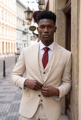 Cravatta da uomo bordeaux con motivo paisley